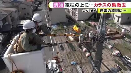 停電引き起こす原因に…高さ約12mの電柱の上に作られた“カラスの巣”撤去 中部電力パワーグリッドが作業を公開