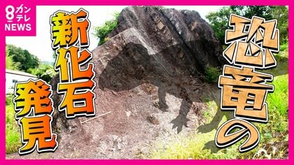 妊娠していたティラノサウルスの化石が初展示へ