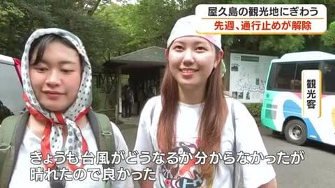 「ジブリの世界みたい」一部通行止め解除でにぎわい取り戻す鹿児島・屋久島を取材