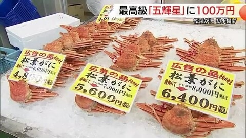 買い時は今！身がぷりぷり味噌が甘い…山陰にカニシーズン到来　寺門ジモンさんが100万円で購入　鳥取