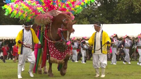 2026年「午年」　踊る馬、走る馬、馬になりきる人も…人が馬と共に歩んできた歴史を感じる祭りの数々