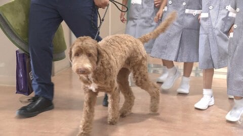 子どもに寄り添う「スクールセラピードッグ」　1年生の心の支えにも「安心して学校に入れる」「授業がんばろうと思う」