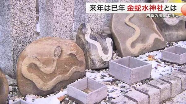 「宝くじ１０億円当てたい」来年は巳年 金運上昇？蛇が御神体「金蛇水神社」とは 〈宮城・岩沼市〉｜FNNプライムオンライン