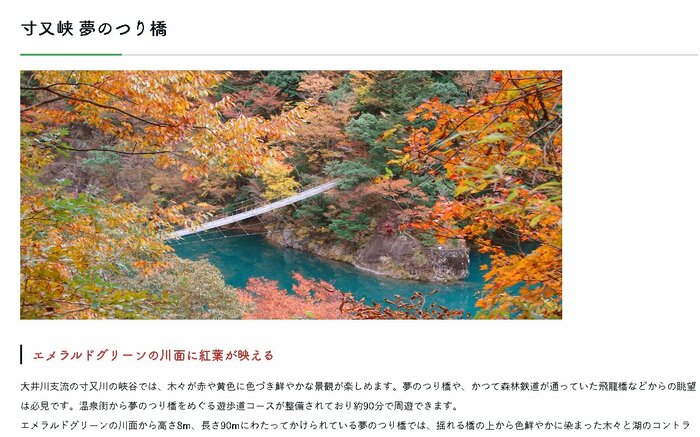 川根本町まちづくり観光協会のHP