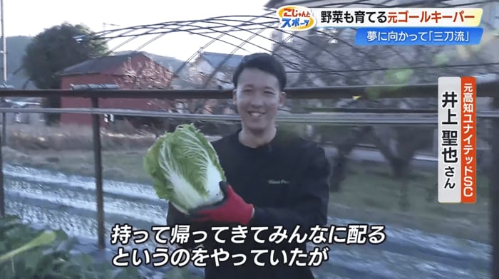 春野町の畑で野菜を収穫する様子