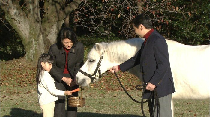 馬と触れあう5歳の愛子さま(2006年12月)