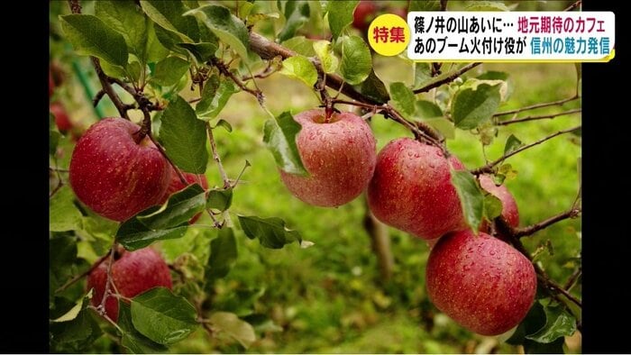 小林農園の「サンふじ」
