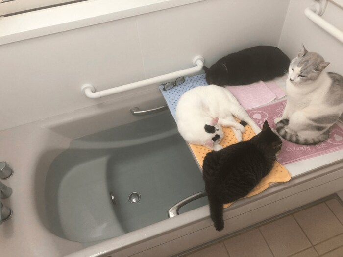 風呂の時の様子