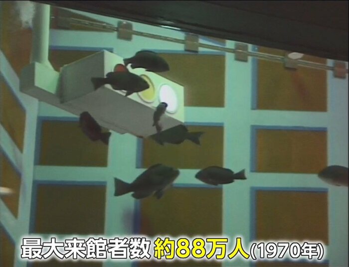 “信号機”の光に吸い寄せられる魚など「生態を生かした展示」