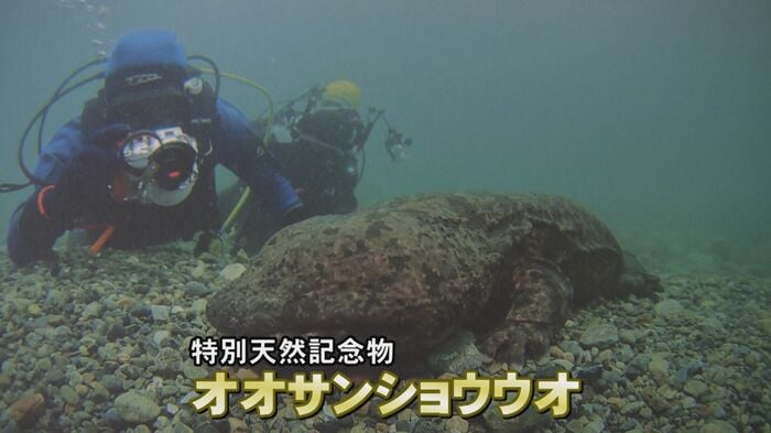 ニュースONE