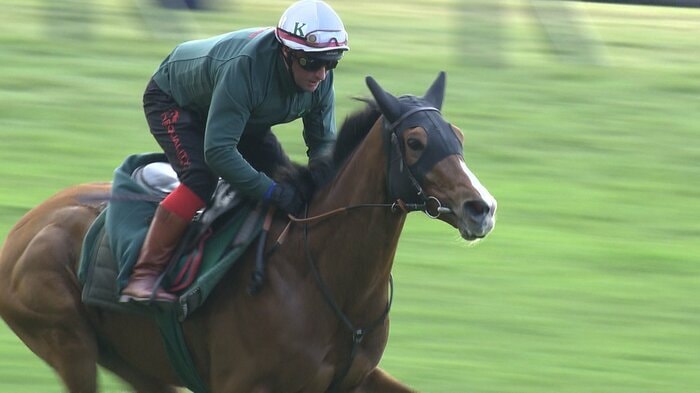 27日　追い切りを行うカランダガン