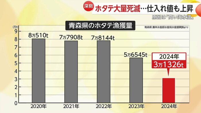 青森県のホタテの漁獲量は激減