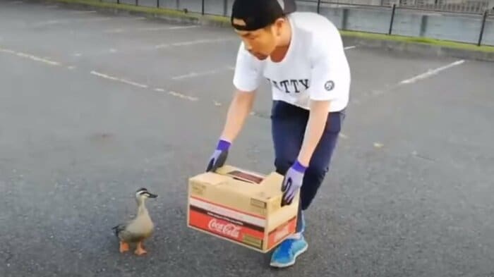 あれやこれやの方法で誘導する中川さん