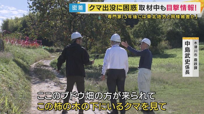 この柿の木の下にクマがいた