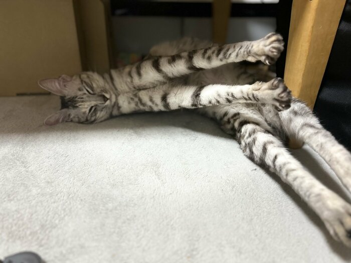 その後の様子