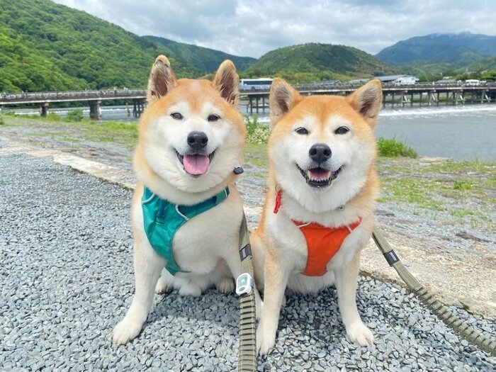 左:小次郎くん 右:うららちゃん