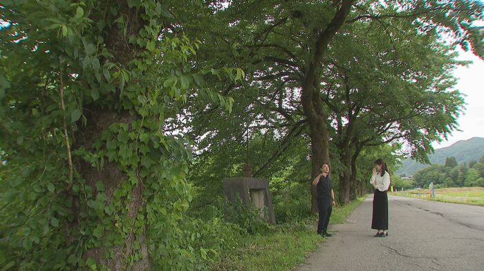 映画の撮影地
