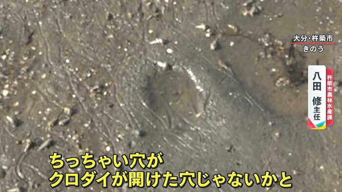 「そういう魚が、アサリの子どもや親を食べ尽くしてしまっている」と話す