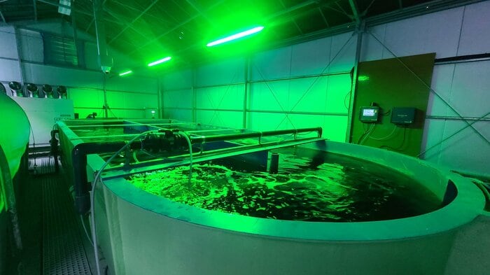 陸上養殖に使用したプラント(提供:NTT東日本)