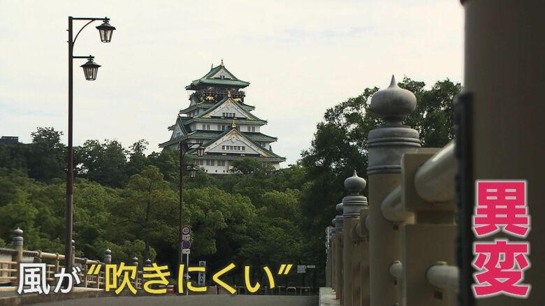 【参院選】大阪選挙区「維新2・自公1ずつ」続いてきた構図「参政党」が変えるか　19人が4議席争う混戦｜FNNプライムオンライン