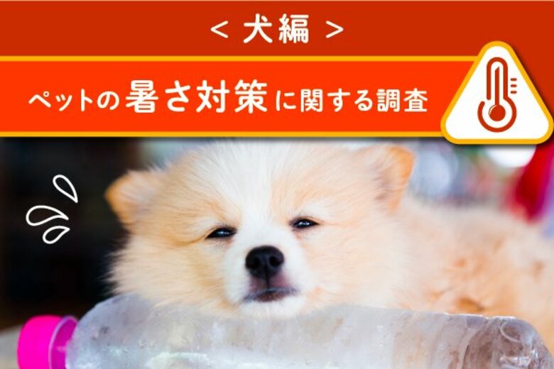<犬編>ペットの暑さ対策に関する調査