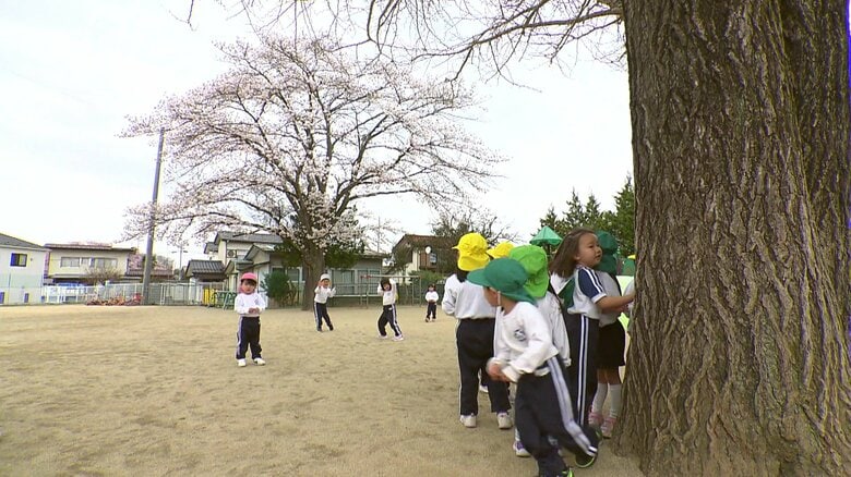 子供たちを見守り続ける 幼稚園のシンボル　福島市・さくら幼稚園　《ふくしま桜紀行2025》｜FNNプライムオンライン
