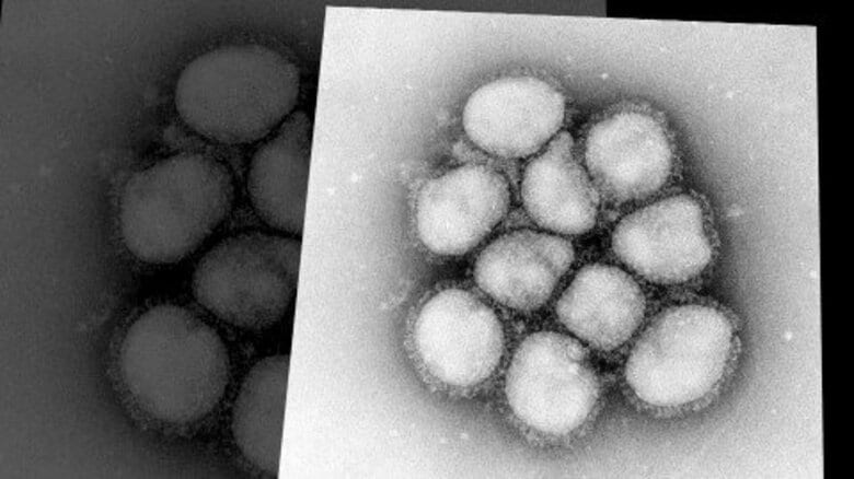 札幌市が「インフルエンザ注意報」を発令_定点医療機関の患者数が基準超え_感染対策の徹底呼びかけ_できるだけ人混みは避け、マスク着用など咳エチケットの徹底を|FNNプライムオンライン