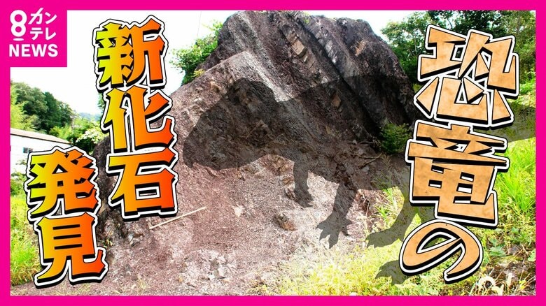 トリケラトプスの仲間『新種の恐竜』発見　「頭が復元できるクオリティの化石は日本初」と専門家　兵庫・丹波篠山で『新種の恐竜』発見ラッシュ｜FNNプライムオンライン