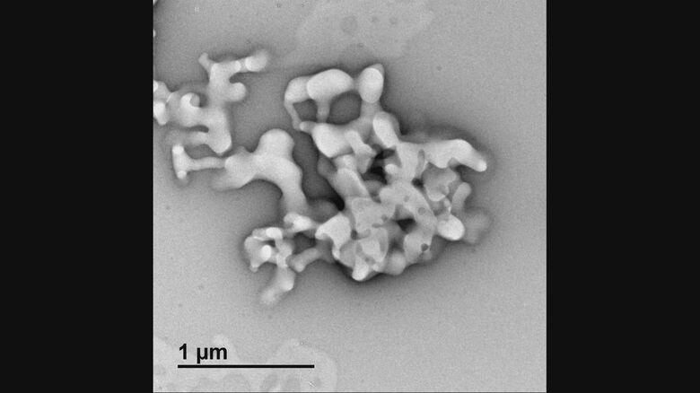 Mn007の凝集体　提供：神戸大学