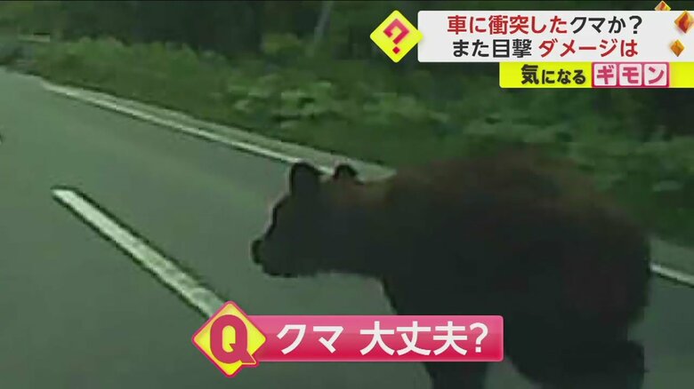 (視聴者撮影)