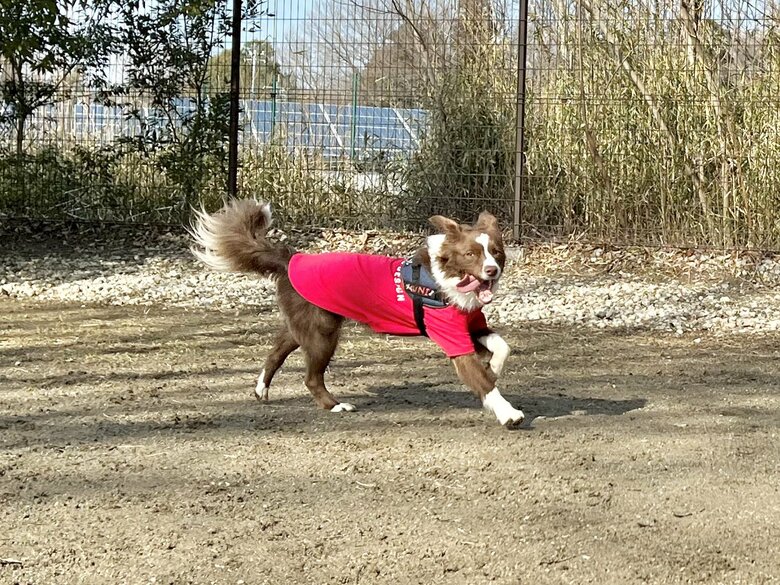 提供：ゆに＆メッシさん