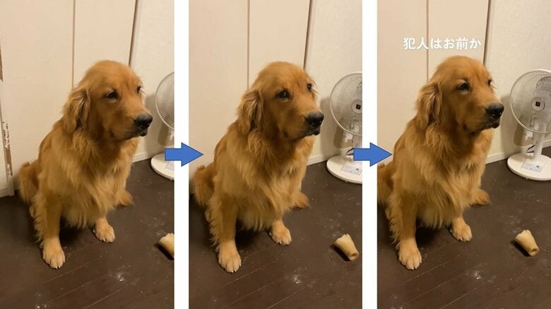 尋問に対し、泳ぐ視線