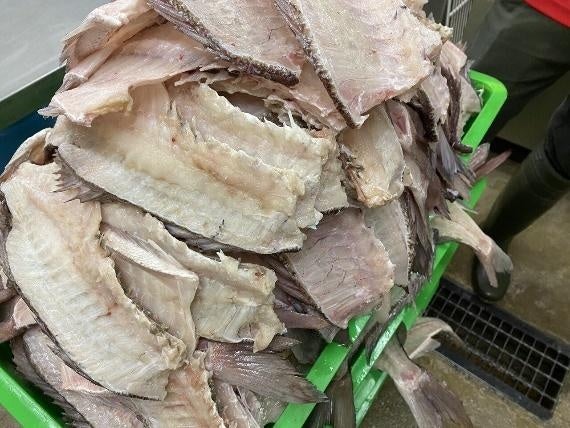 （出典:ふく成）