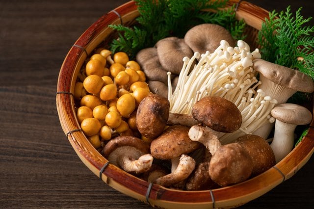 新種きのこもいつか食べられる？（画像はイメージ）