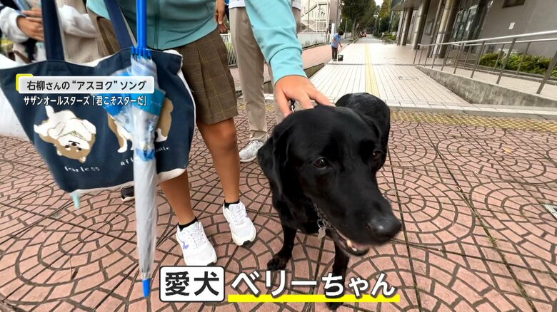 右柳さんの愛犬・ベリーちゃん