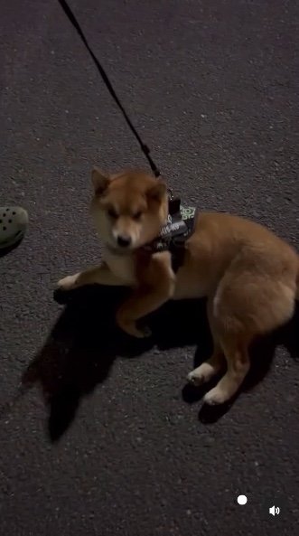 提供：カンさん