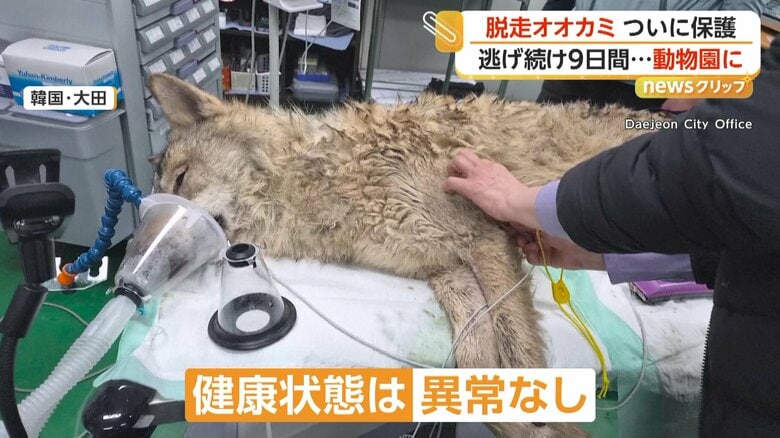 動物園で検査を受けた（Daejeon City Office）