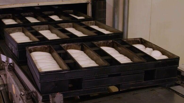 生地の発酵段階（画像提供：敷島製パン）