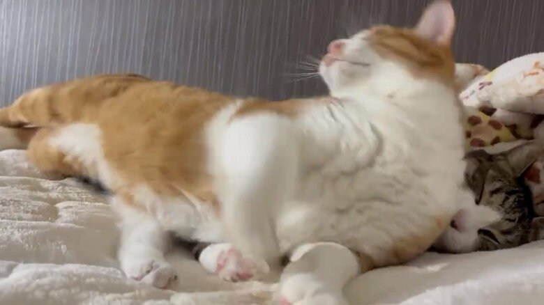 ただし、距離感が近すぎると…