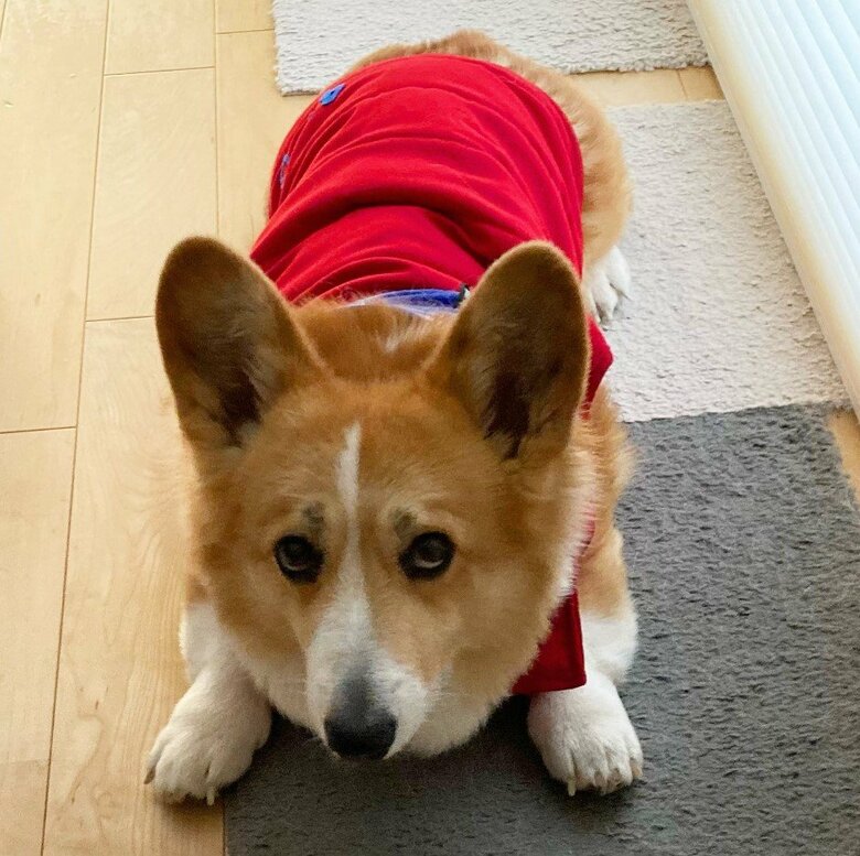 提供：むぎん家＠きよらさん