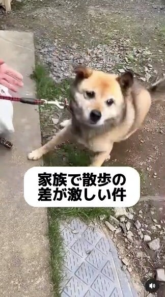 提供：タチバナさんの毎日ルーティン