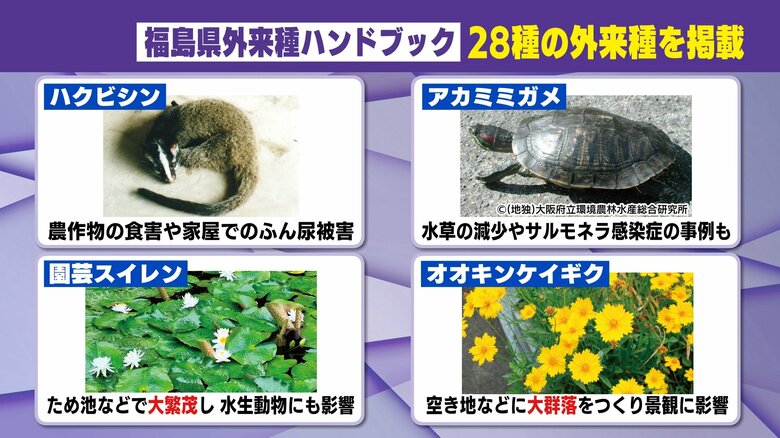 「入れない」「捨てない」「広げない」を徹底することが大切