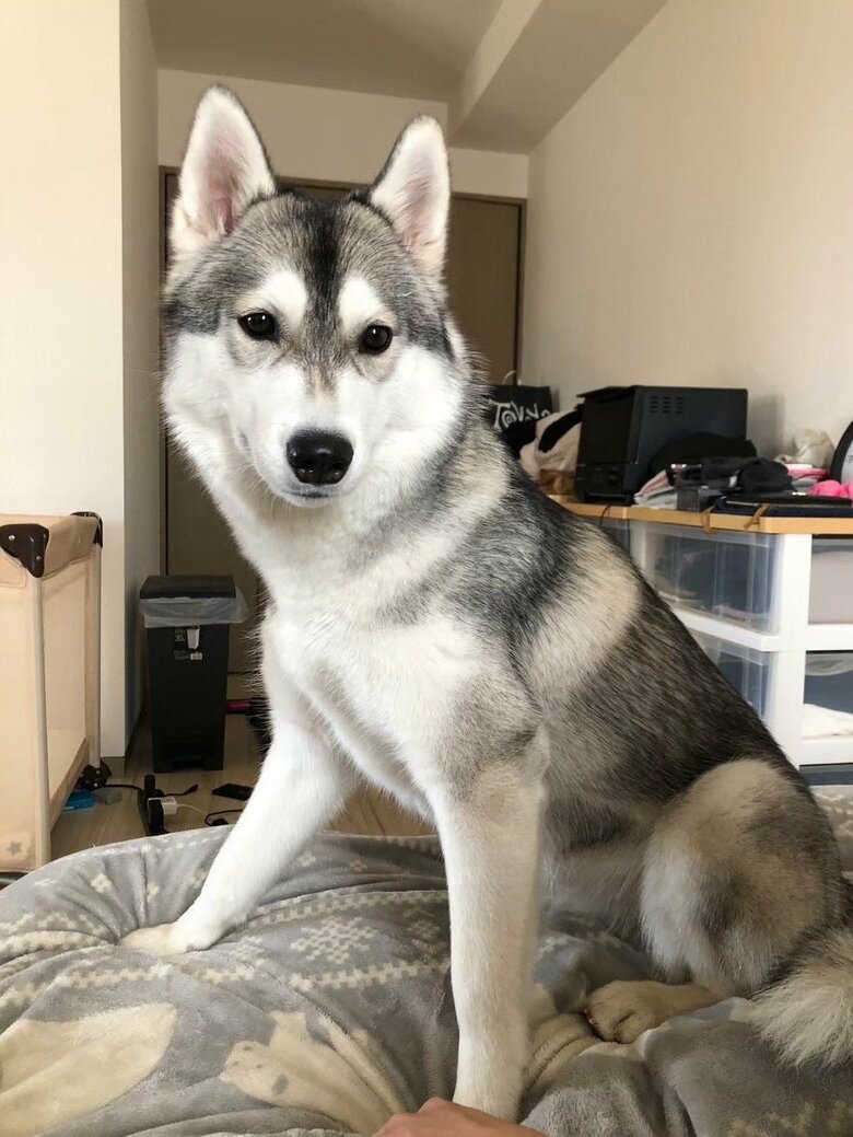 お散歩が好き。出かける雰囲気にわくわく