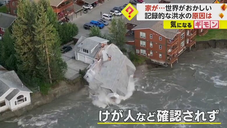 （Instagram@twowildhearts）