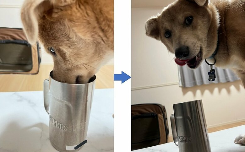 普段もコップから飲むことがある