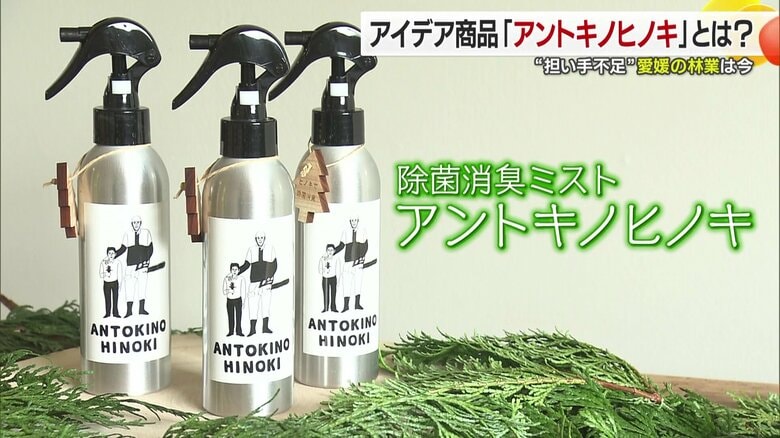 ヒノキの香り成分である精油を抽出したミスト