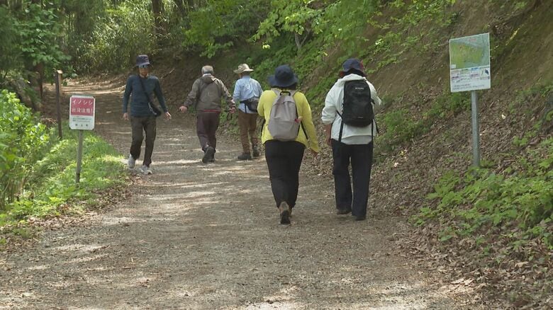 護摩堂山