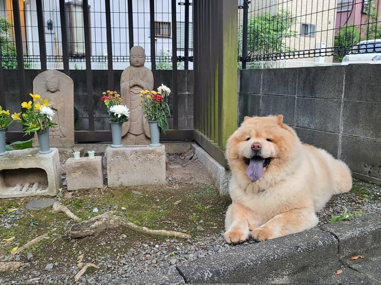 お地蔵さんと一緒に