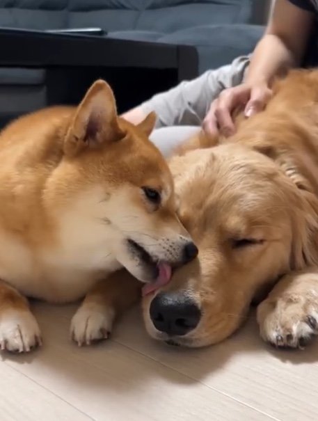 提供：うにandおからさん