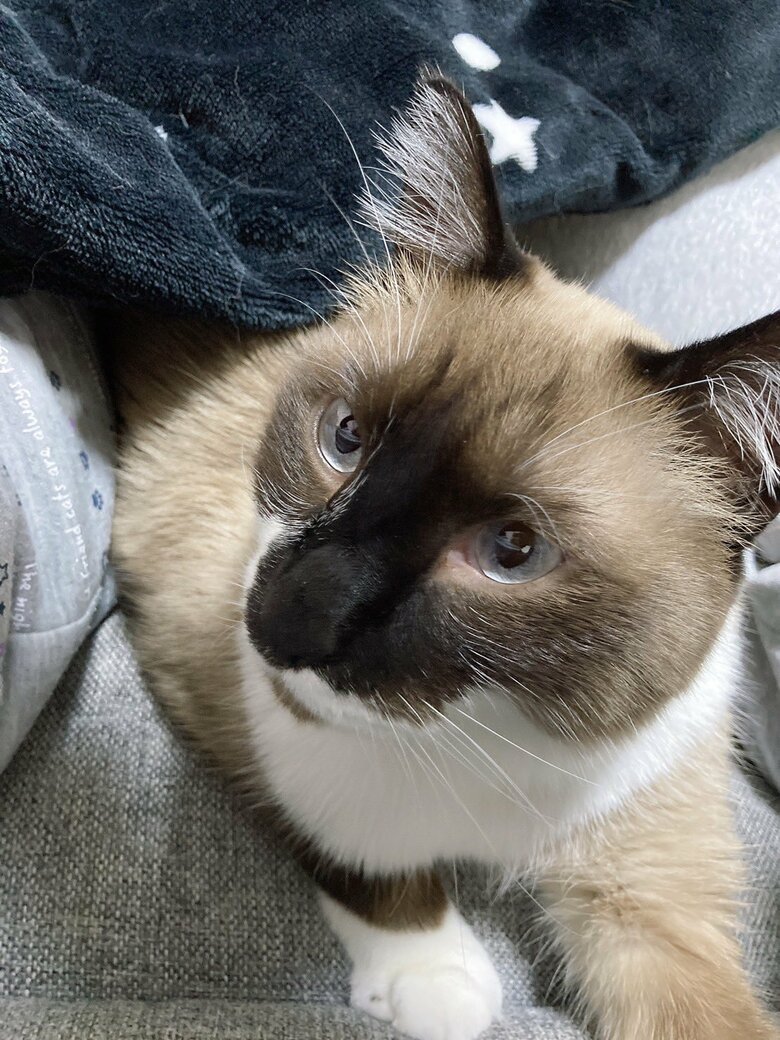 提供：たぬき&とらさん